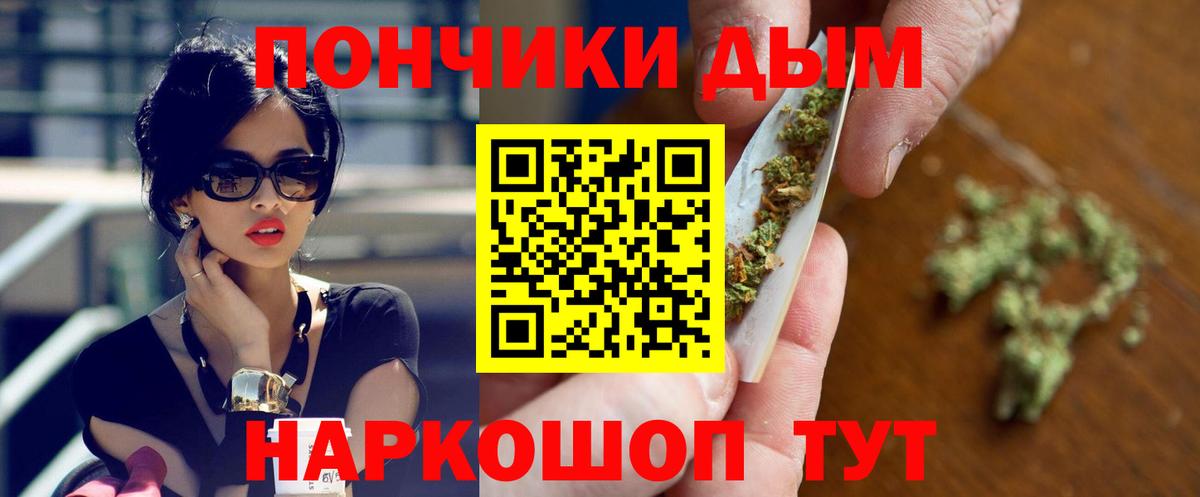 Канабис планчик Чернушка