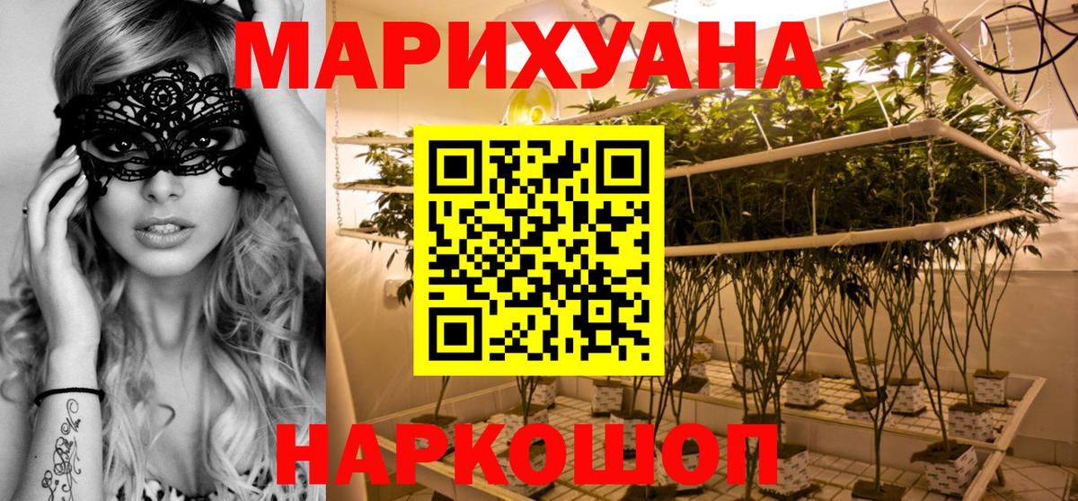 Бошки марихуана Ganja  Марихуана сатива  Вход с VPN  Марихуана ГИДРОПОН  Чернушка 